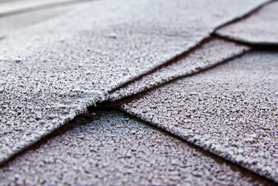 Metal roof vs asphalt shingles: which lasts longer in Florence